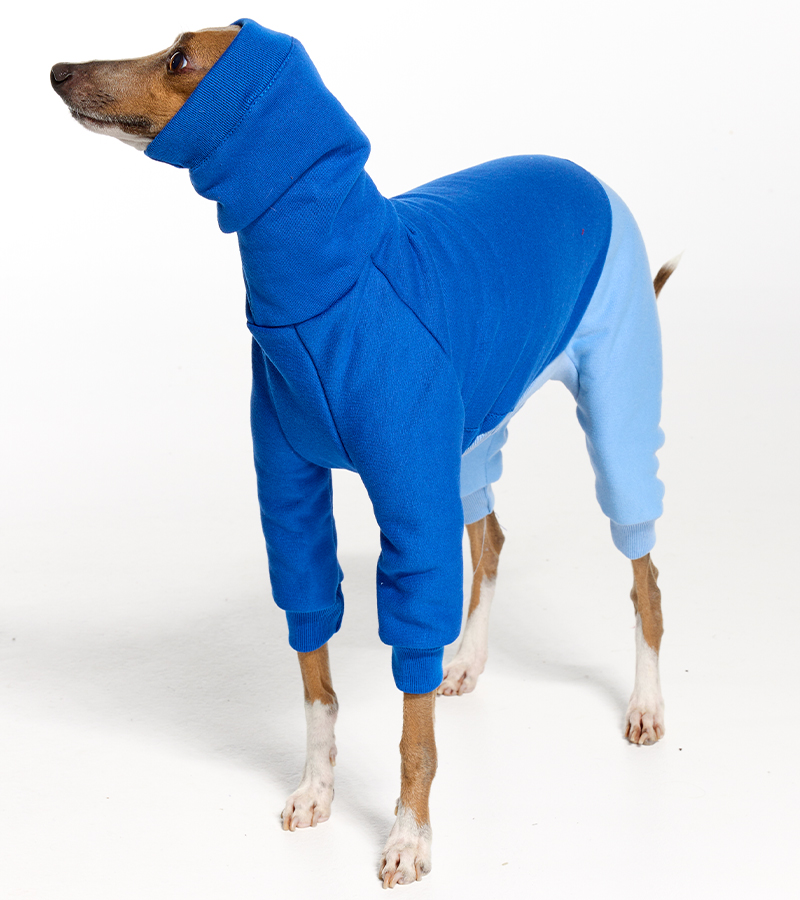 Italian Greyhound Clothes Amazon atelieryuwa.ciao.jp