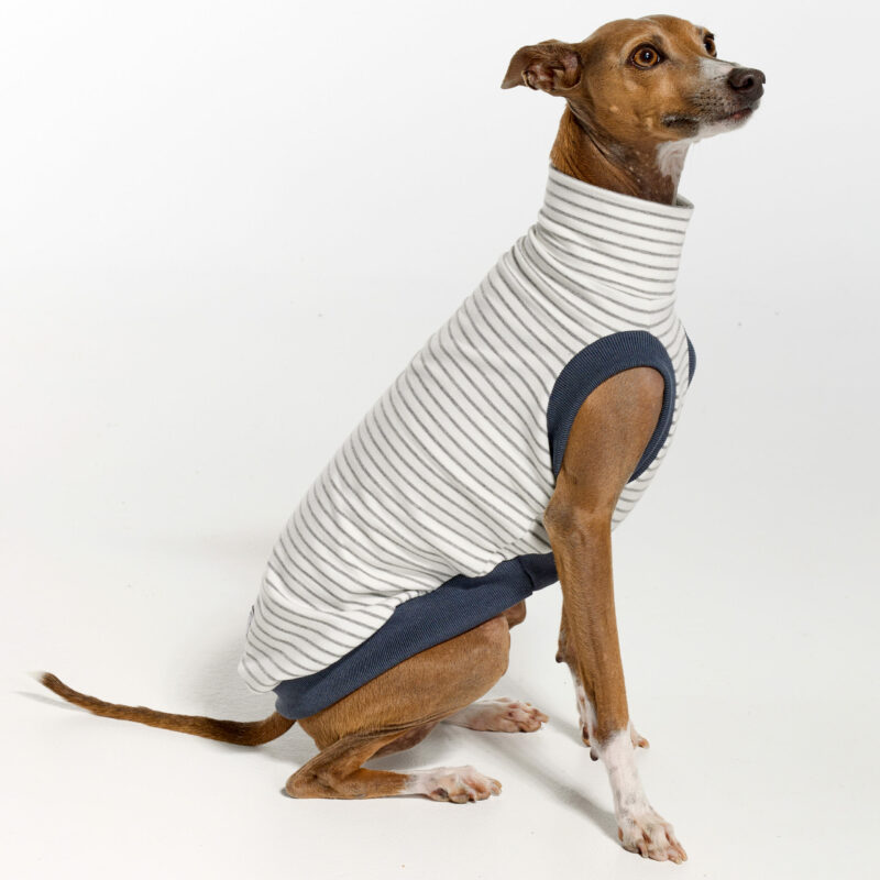 Italian Greyhound Clothing | Royal Hound