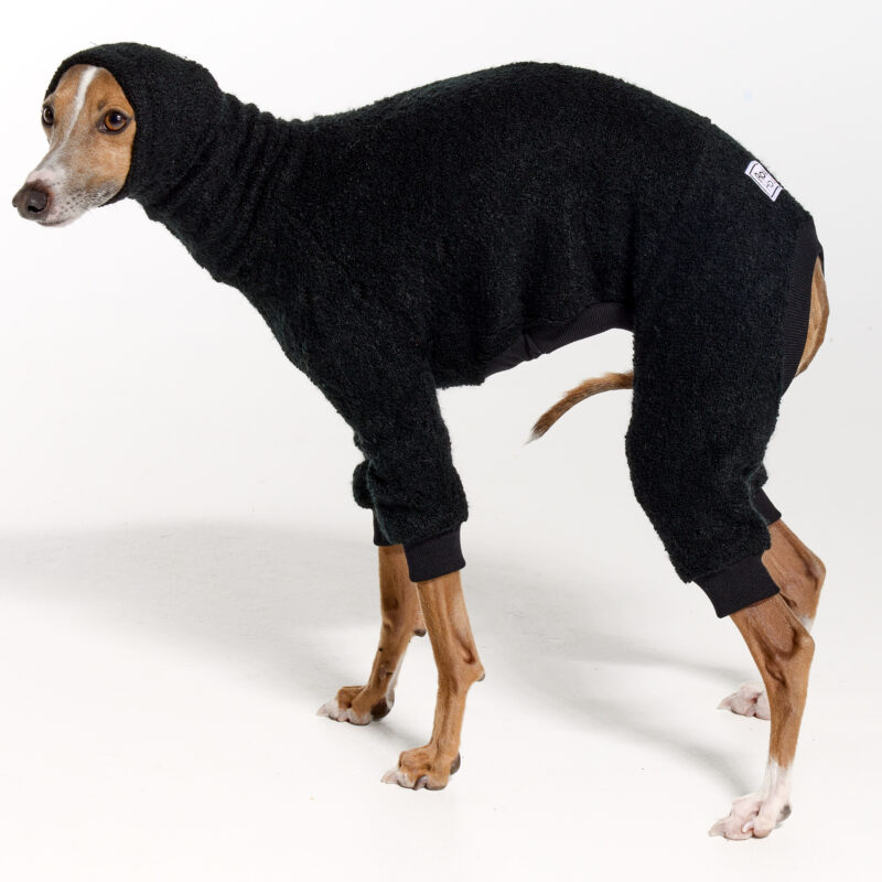 Italian Greyhound Clothing | Iggy Clothing | Royal Hound