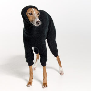 Italian Greyhound Clothing | Iggy Clothing | Royal Hound