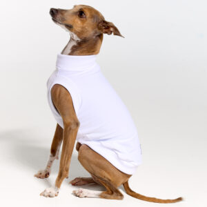 Italian Greyhound Clothing | Whippet Clothing | Royal Hound