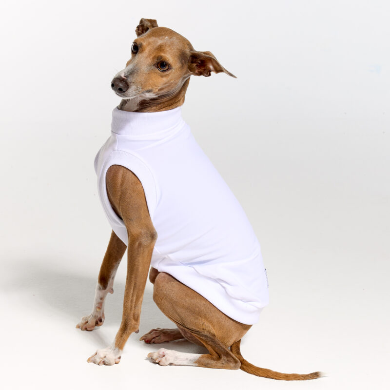 Italian Greyhound Clothing | Whippet Clothing | Royal Hound