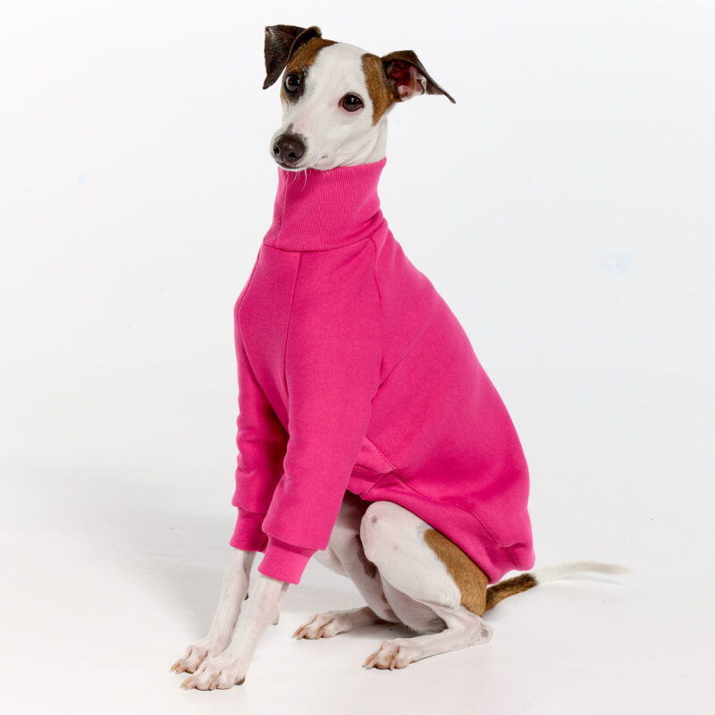 Pink Italian Greyhound Clothing and Whippet Clothing