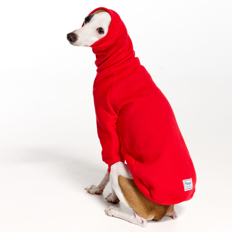 RedItalian Greyhound Clothing and Whippet Clothing