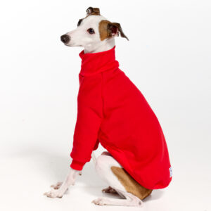 Red Italian Greyhound Clothing and Whippet Clothing