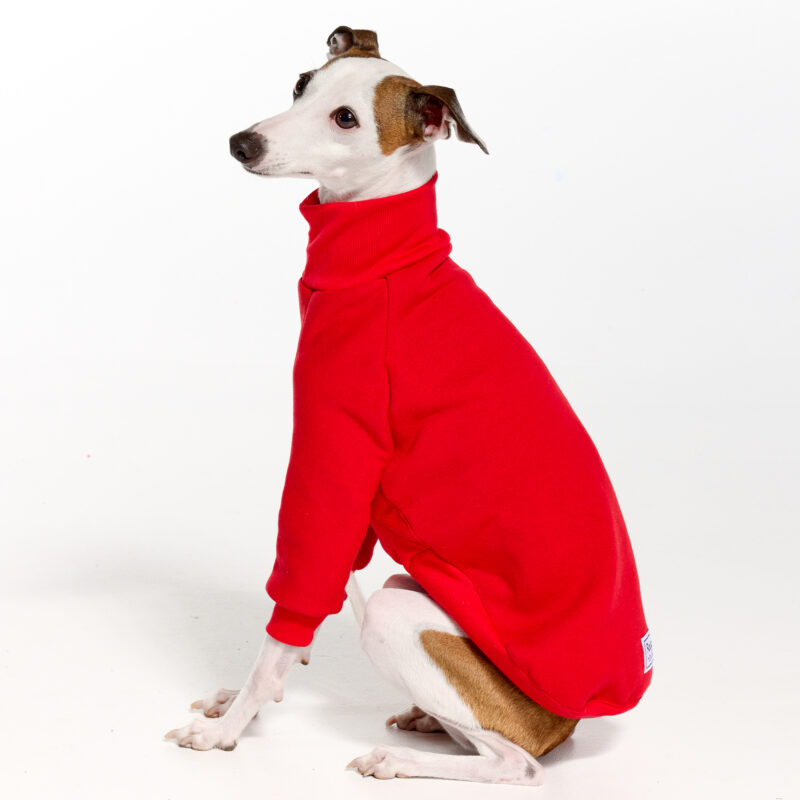 Red Italian Greyhound Clothing and Whippet Clothing