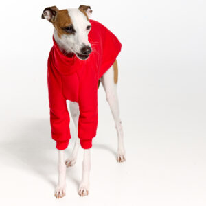 Red Italian Greyhound Clothing and Whippet Clothing