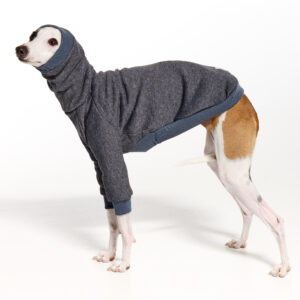 Charcoal Italian Greyhound Clothing and Whippet Clothing