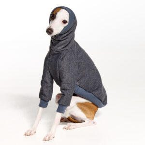 Charcoal Italian Greyhound Clothing and Whippet Clothing