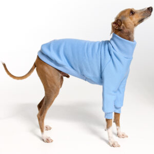 Baby Blue Italian Greyhound Clothing and Whippet Clothing