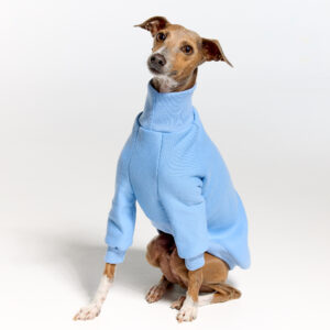 Baby Blue Italian Greyhound Clothing and Whippet Clothing