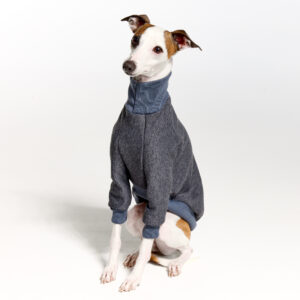 Charcoal Italian Greyhound Clothing and Whippet Clothing