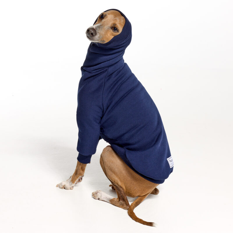 Navy Italian Greyhound Clothing and Whippet Clothing