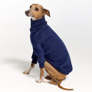 Navy Italian Greyhound Clothing and Whippet Clothing