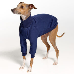 Navy Italian Greyhound Clothing and Whippet Clothing