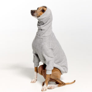 Grey Italian Greyhound Clothing and Whippet Clothing