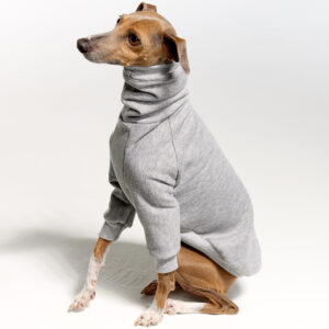 Grey Italian Greyhound Clothing and Whippet Clothing