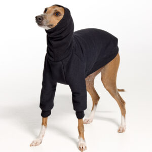 Black Italian Greyhound Clothing and Whippet Clothing