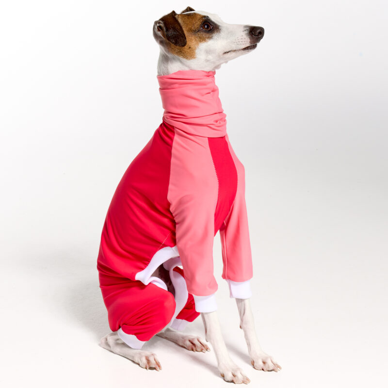 UPF5+ Italian Greyhound Clothing | Whippet Clothing UPF50+