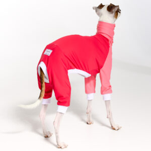 UPF5+ Italian Greyhound Clothing | Whippet Clothing UPF50+