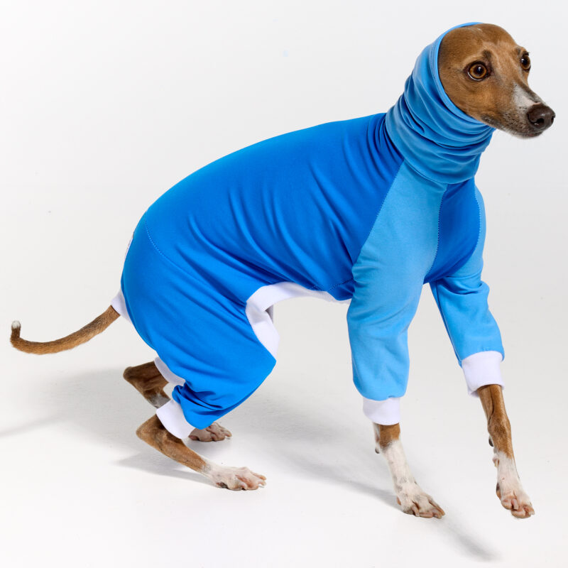 UPF5+ Italian Greyhound Clothing | Whippet Clothing UPF50+