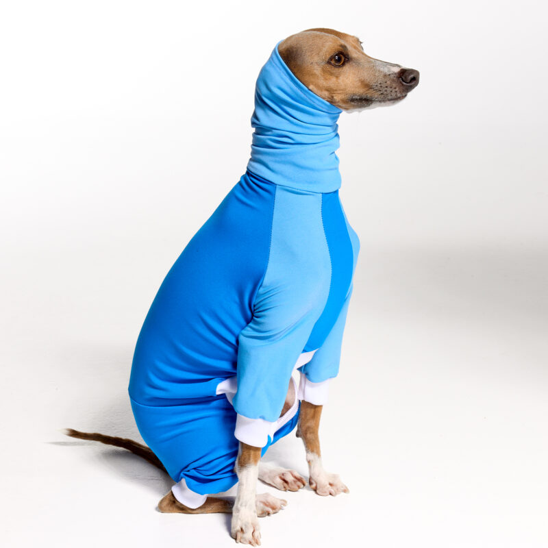 UPF5+ Italian Greyhound Clothing | Whippet Clothing UPF50+