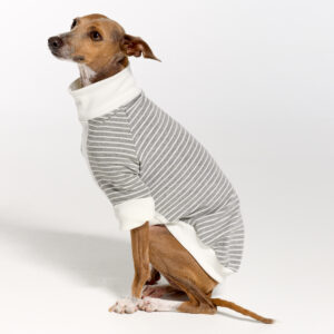 Italian Greyhound Suits | Whippet Suits