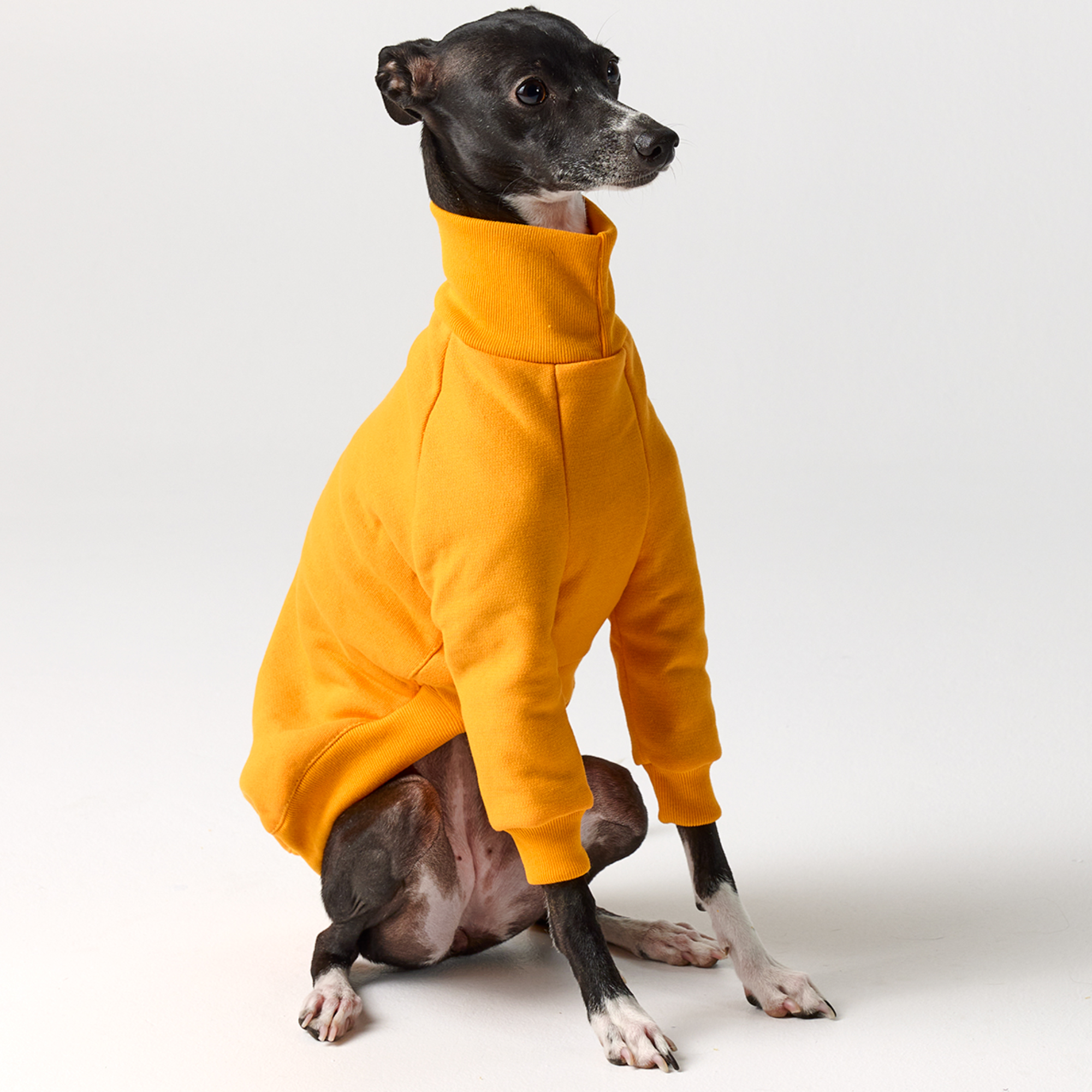 Italian Greyhound Clothing - Yellow Fleece Suit