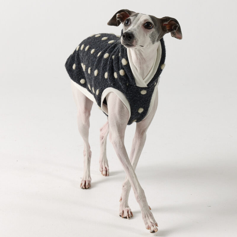 Italian Greyhound Clothing Aspen Hoodie