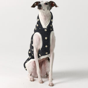 Italian Greyhound Clothing Aspen Hoodie