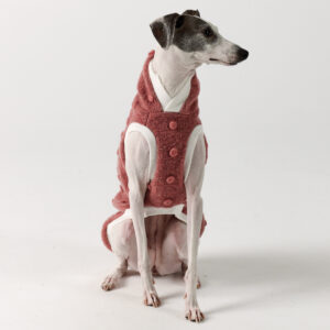 Whippet Clothing & Italian Greyhound Clothing