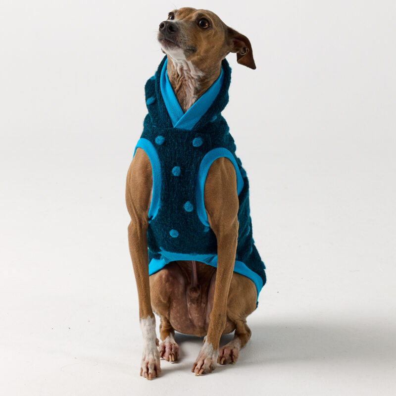 Italian Greyhound Hoodie | Aspen | Royal Hound