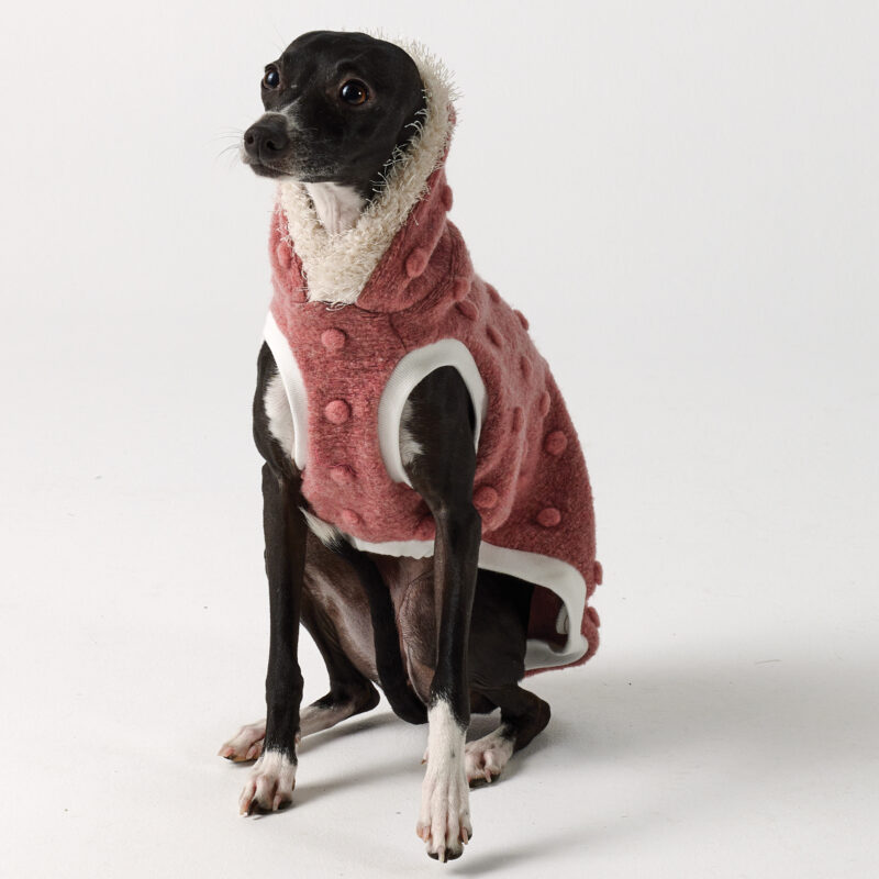 Whippet Clothing & Italian Greyhound Clothing