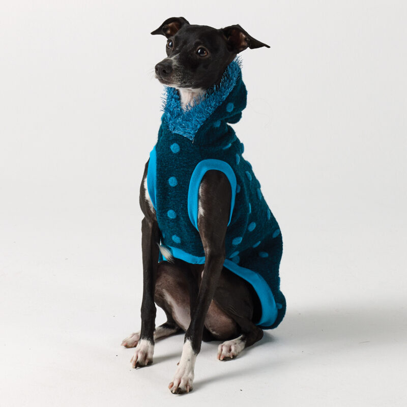 Whippet Clothing & Italian Greyhound Clothing