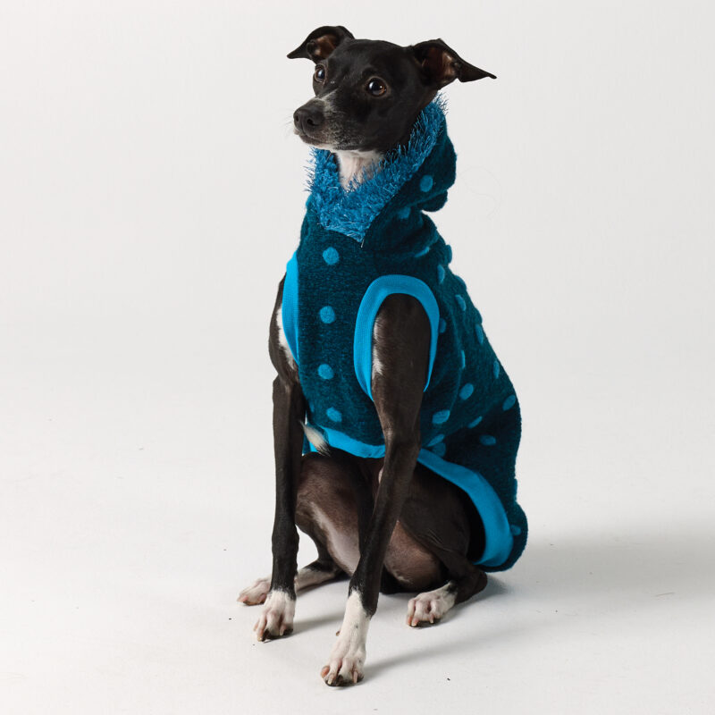 Whippet Clothing & Italian Greyhound Clothing