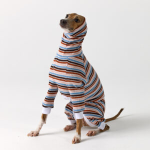 Italian Greyhound & Whippet Clothing - Brighton