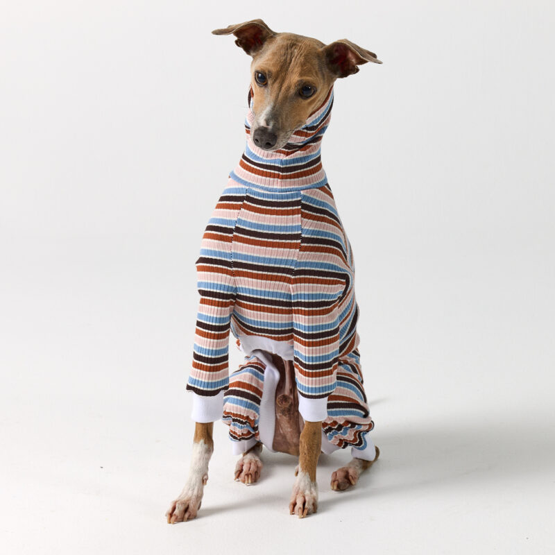 Italian Greyhound & Whippet Clothing - Brighton