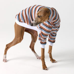 Italian Greyhound & Whippet Clothing - Brighton