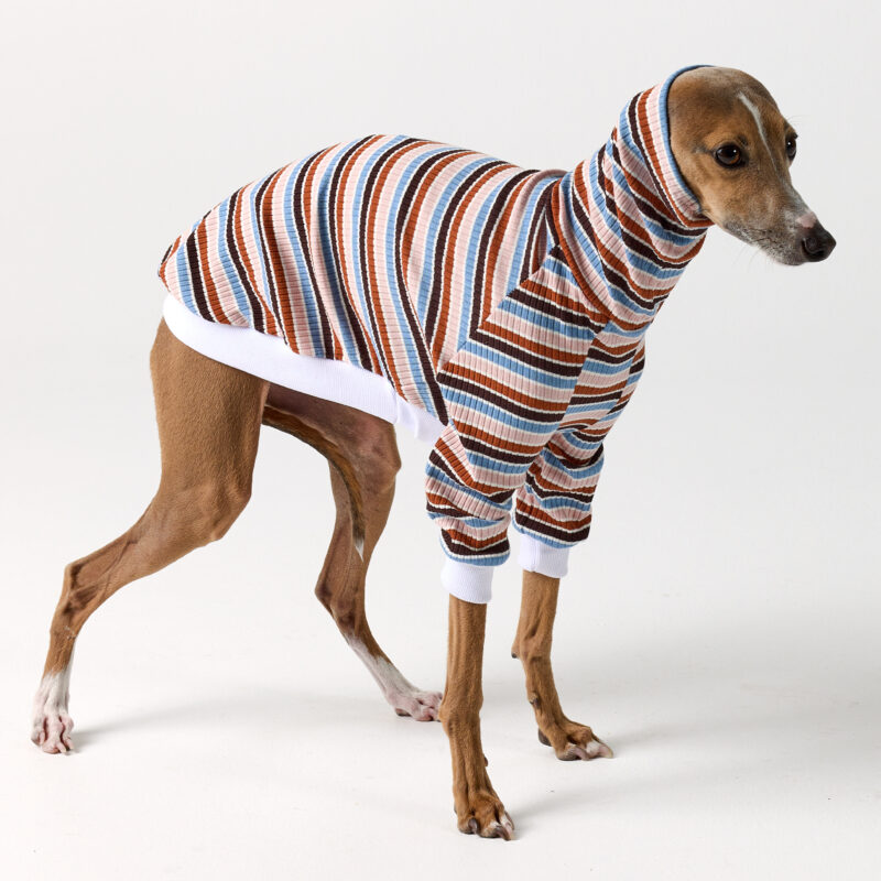 Italian Greyhound & Whippet Clothing - Brighton