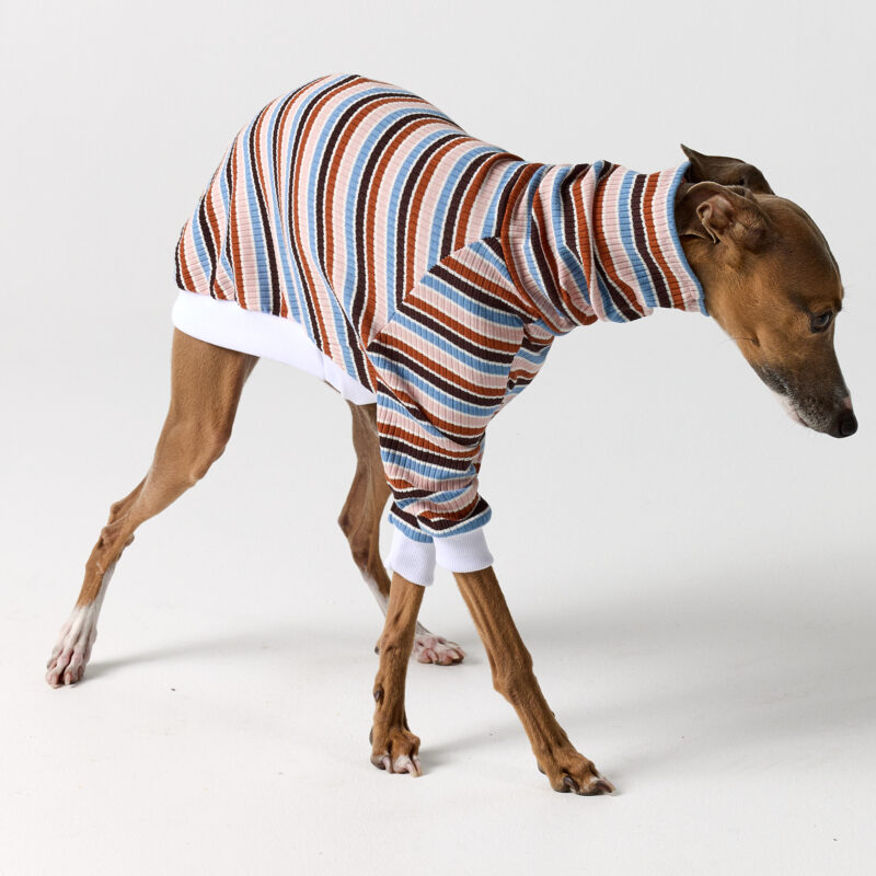 Italian Greyhound & Whippet Clothing - Brighton