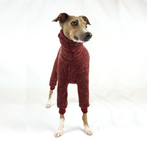 Italian Greyhound Clothing - Hari Full Suit in Wine