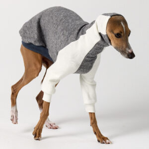 Italian Greyhound Clothing - Oscar Half Suit