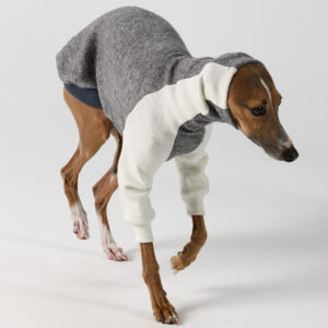 Italian Greyhound Clothing - Oscar Half Suit