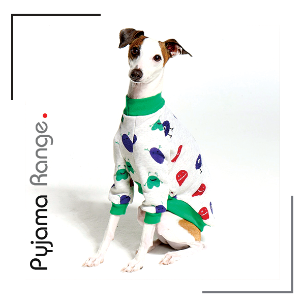 Pyjamas for Italian Greyhounds