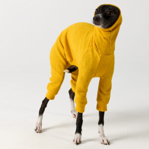 Whippet Clothing & Italian Greyhound Clothing