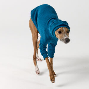 Italian Greyhound Clothing Teal