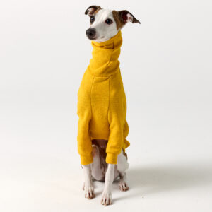 Italian Greyhound Clothing | Whippet Clothing