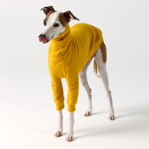 Italian Greyhound Clothing | Whippet Clothing