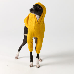 Italian Greyhound Clothing - Mustard Hoodie