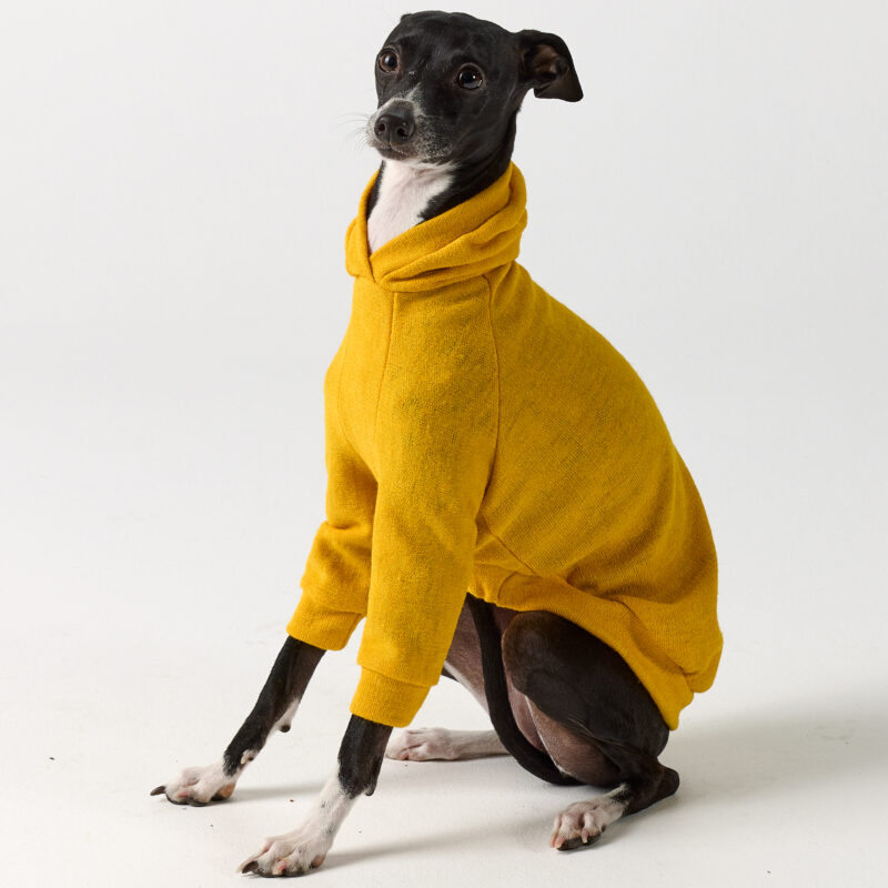 Italian Greyhound Clothing - Mustard Hoodie